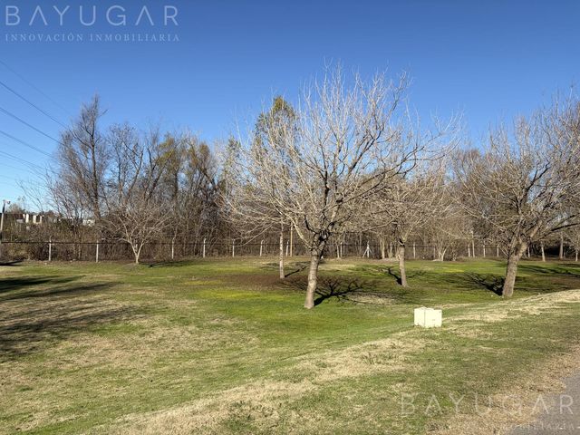 place photo 40