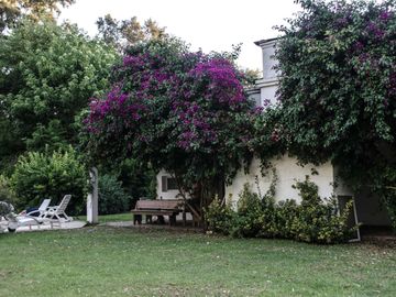 place photo 40