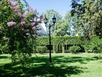 place photo 68
