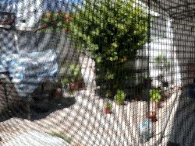 place photo 37
