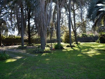 place photo 61