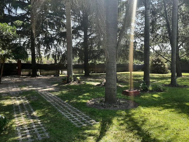 place photo 26