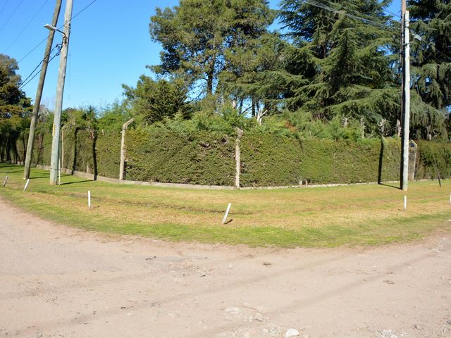 place photo 85