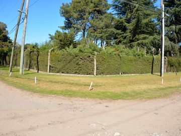 place photo 85