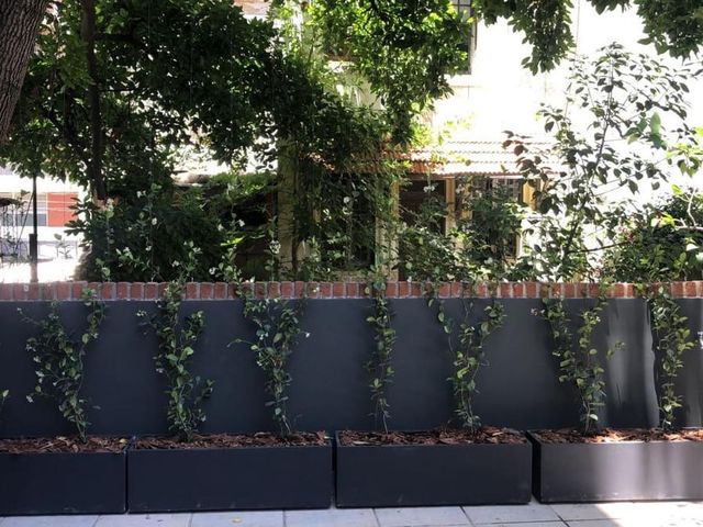 place photo 42