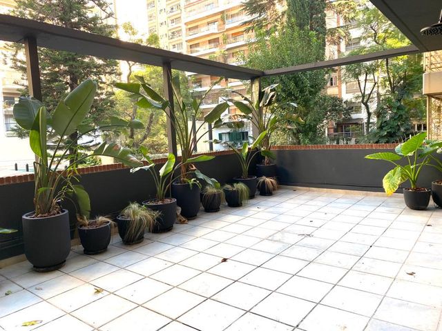 place photo 39