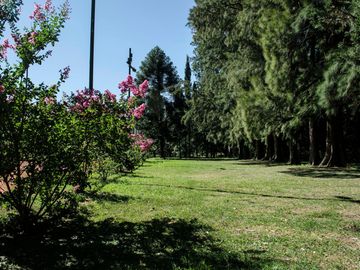 place photo 59