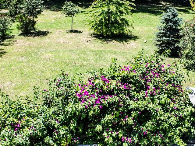 place photo 39