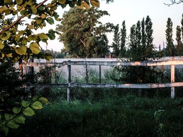 place photo 43