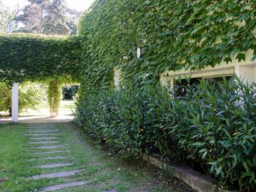 place photo 54