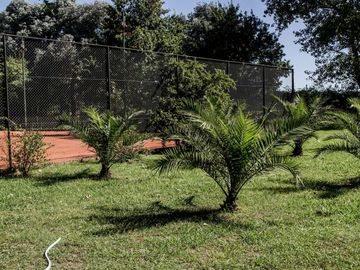 place photo 61