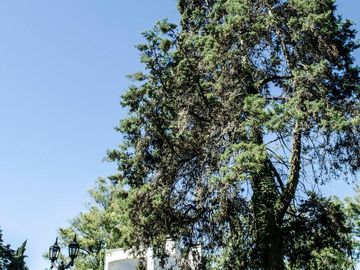 place photo 69