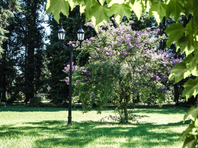 place photo 49