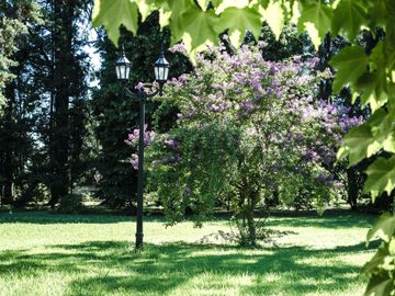 place photo 57