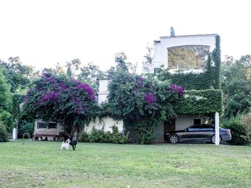 place photo 39