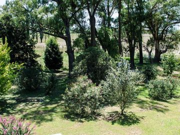 place photo 45
