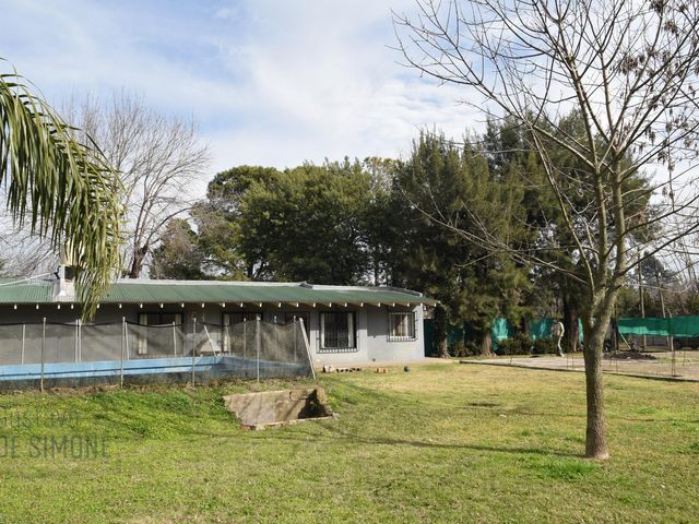 place photo 10
