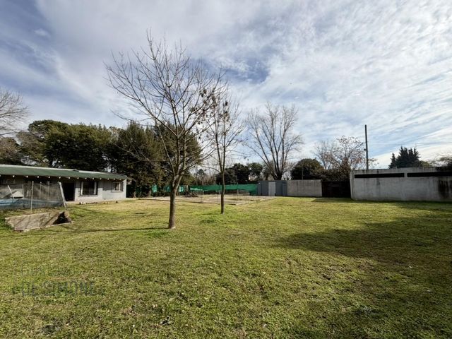 place photo 15