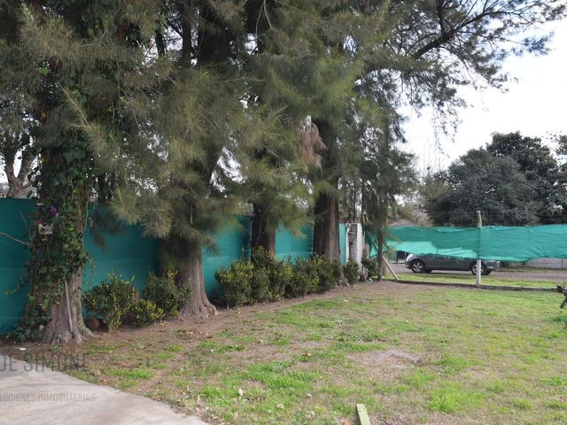 place photo 17