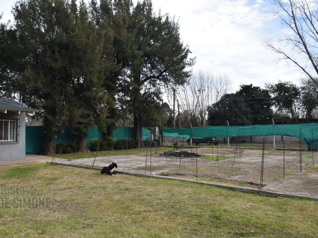 place photo 19