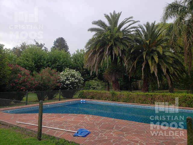place photo 24