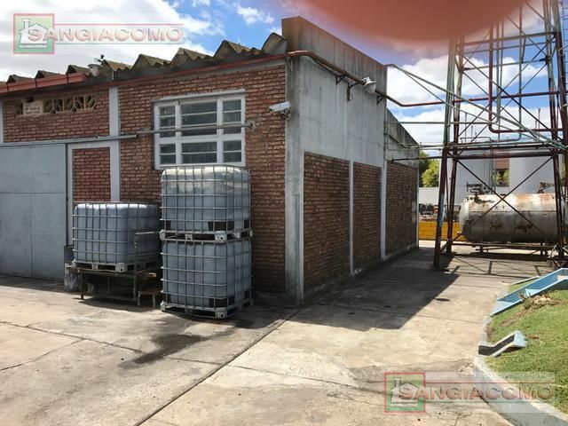 place photo 23