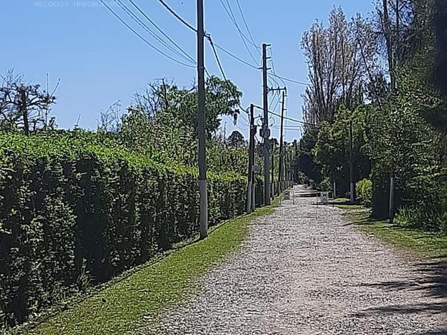 place photo 34