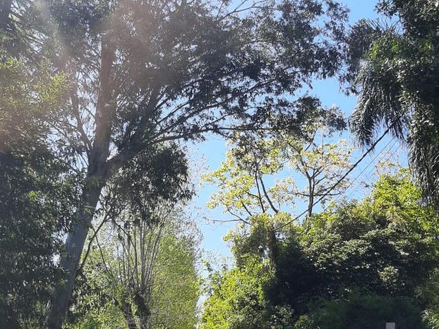 place photo 39