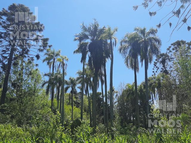 place photo 38