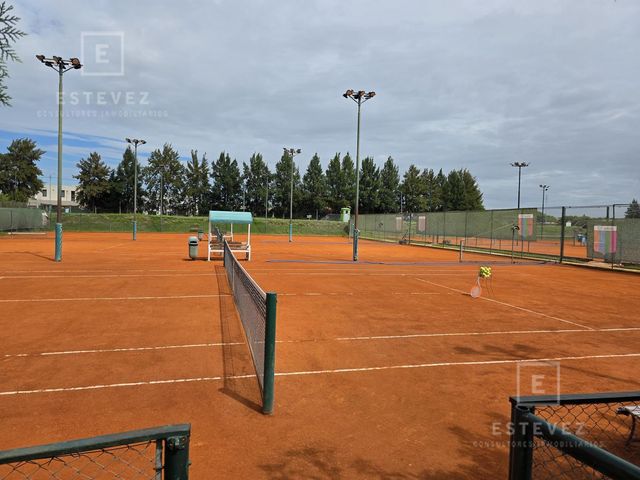 place photo 43