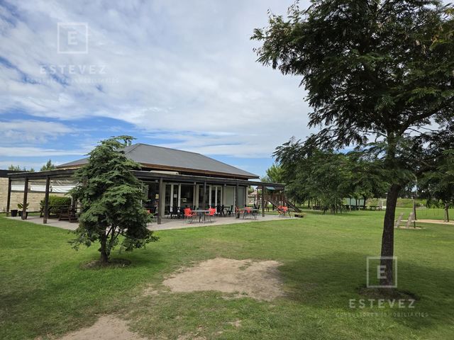 place photo 46