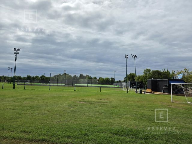 place photo 48