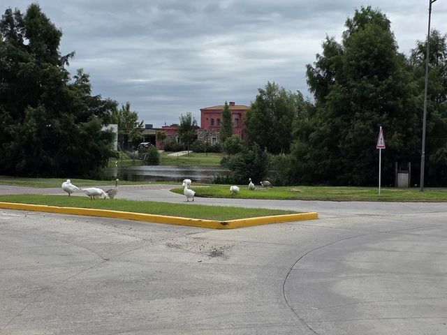place photo 51