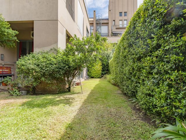 place photo 36