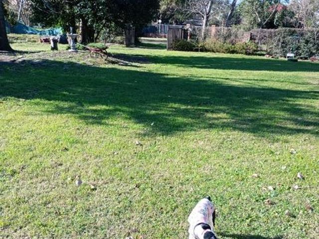 place photo 13