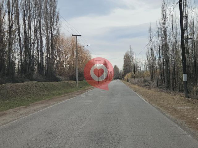 place photo 37