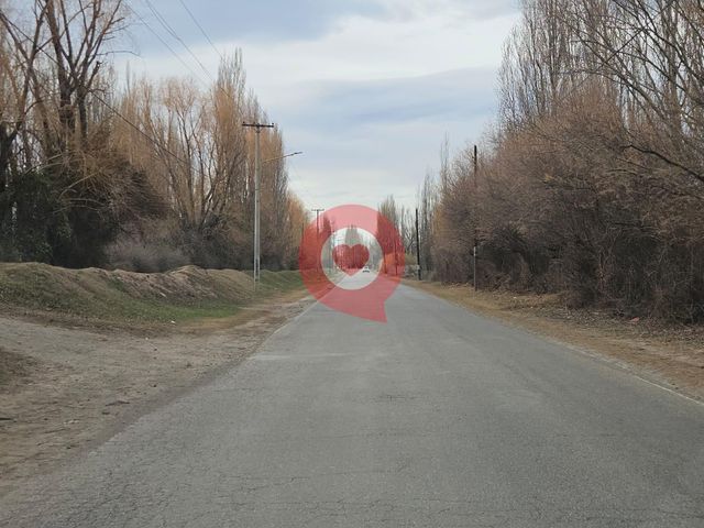 place photo 36