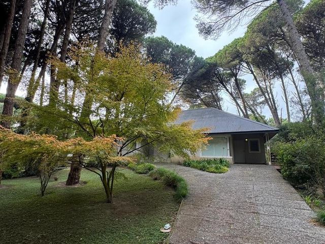 place photo 45