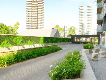 place photo 22