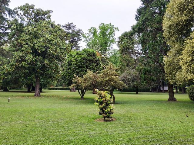 place photo 37