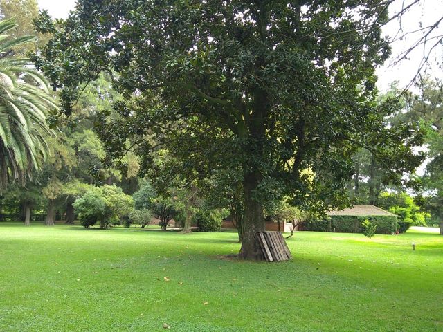place photo 35