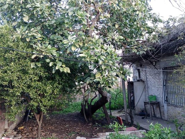 place photo 15