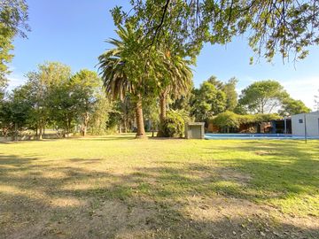 place photo 34