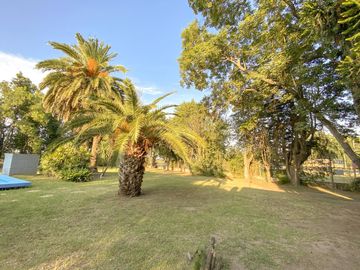 place photo 24