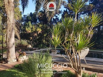 place photo 26