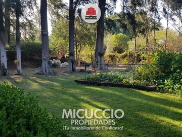 place photo 37