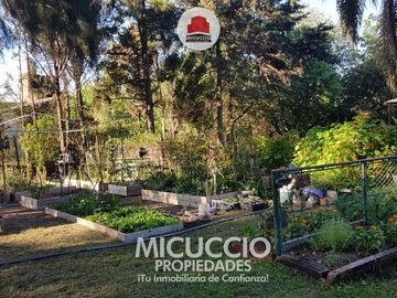 place photo 43