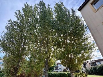 place photo 34