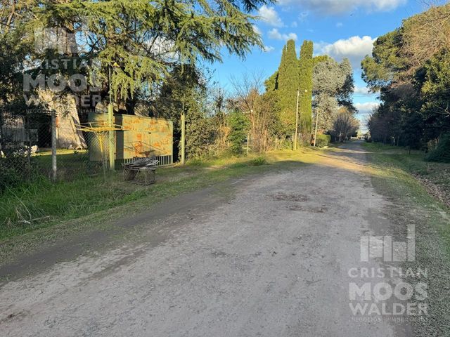 place photo 11