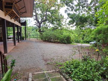place photo 34